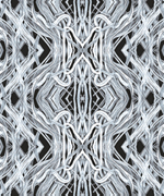 COLLECTION 2010